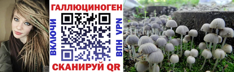 Галлюциногенные грибы Psilocybine cubensis  Туринск 